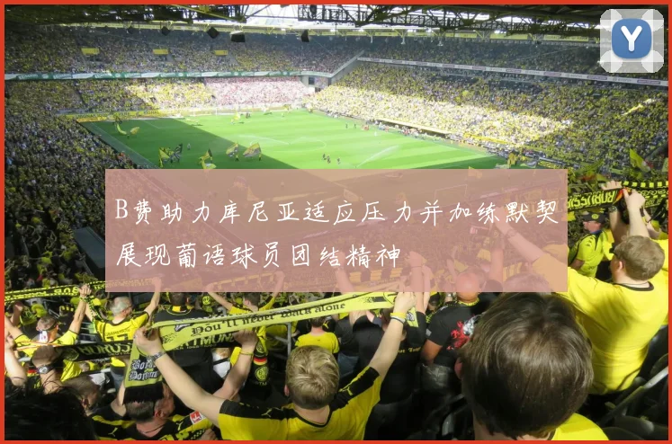 B费助力库尼亚适应压力并加练默契展现葡语球员团结精神