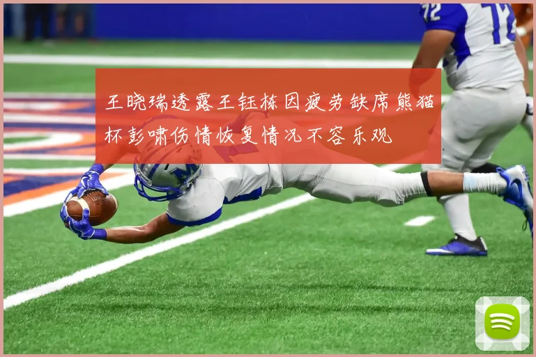 王晓瑞透露王钰栋因疲劳缺席熊猫杯彭啸伤情恢复情况不容乐观